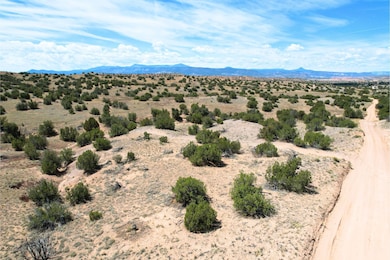 0 Fort Defina unit 25558757, Abiquiu, NM 87510 - photo 6