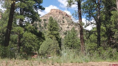 82 Wild Iris Ave, Durango, CO 81301 - photo 5