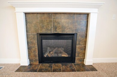 Gas Fireplace
