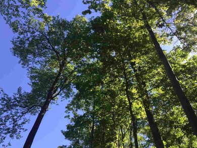 7057 E Tanglewood Rd-92 unit 2, Roanoke, IN 46783 - photo 6