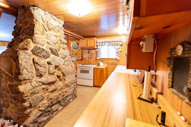 9320 Wood Rd, Forest Falls, CA 92339 - photo 7