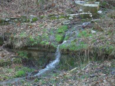 8101 Prospect Rd, Prospect, TN 38477 - photo 7