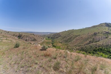 2830 Antoine Creek (Lot B) Rd, Chelan, WA 98816 - photo 4