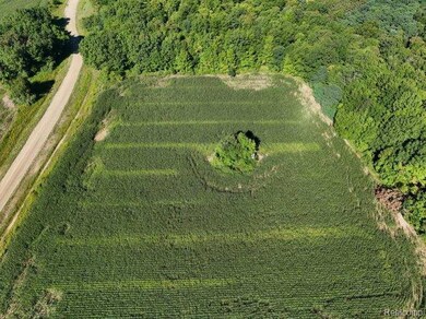 Parcel 4 Sycamore St, Dryden Township, MI 48428 - photo 6