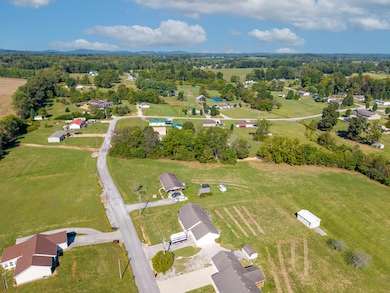 297 Lisabella Ln, Eubank, KY 42567 - photo 7