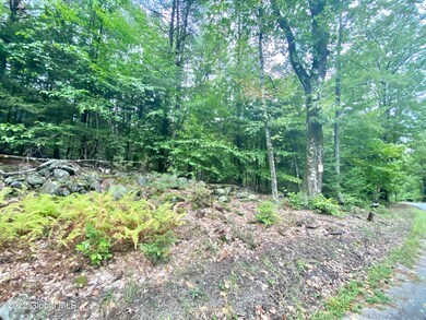 Lot 1 Gailey Hill Rd, Lake Luzerne, NY 12846 - photo 6