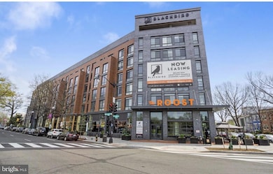 1211 G St SE unit 6, Washington, DC 20003 - photo 7