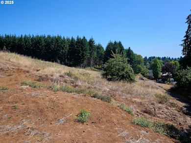 0 NE 5th St, Willamina, OR 97396 - photo 3