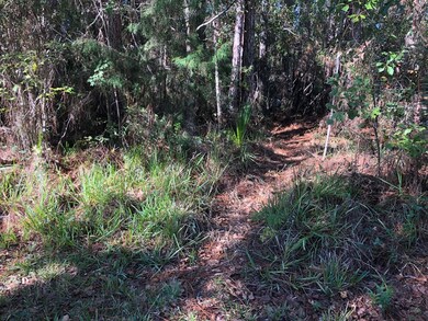 Trail to back of property
