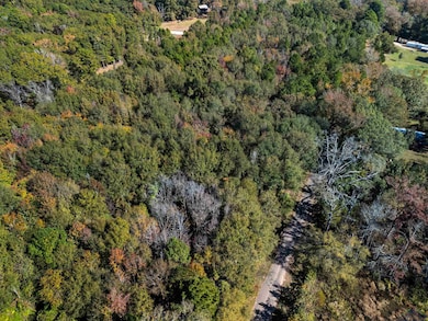 4754 Fm 1254 & Cr 2427, Mineola, TX 75773 - photo 7