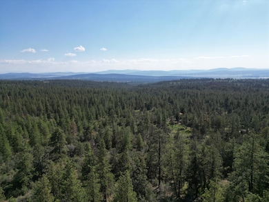 0 Sandpiper Ln unit 2300, Beatty, OR 97621 - photo 5