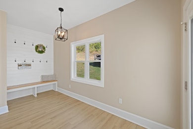 43 Mcilwee Ln, Staunton, VA 24401 - photo 3