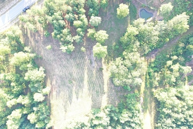org_ca00b8264df64eae_1601242344000