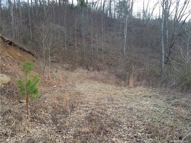 Potential Home Site
