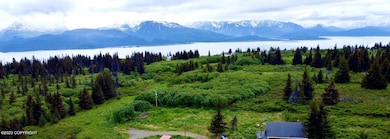 thumbnail_image