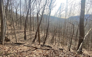 Additional View