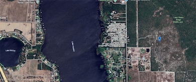 431 Lucille Ln, Lake Placid, FL 33852 - photo 6