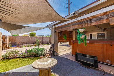 Back Yard 2