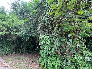 8 Calle Vanda, Guaynabo, PR 00966 - photo 6