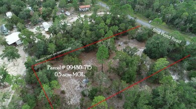 912 Bird Pond Rd, Steinhatchee, FL 32359 - photo 6