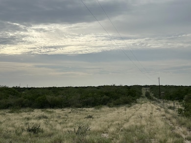 3441 U S Highway 83 unit PARCEL 3-B TX, Zapata, TX 78076 - photo 4