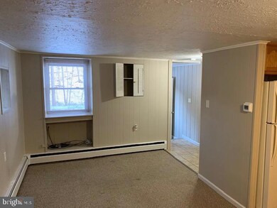 1248 Buck Hollow Rd unit 1, Mohnton, PA 19540 - photo 6