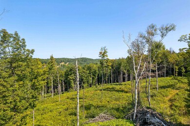 0 Wildlife Rd unit 5025731, Hartford, VT 05001 - photo 6