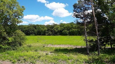 Lot 3 Block 1 Kettle River Blvd NE, Columbus, MN 55025 - photo 3