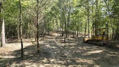 TBD, Tract 3 Polk Road 158, Mena, AR 71953 - photo 6