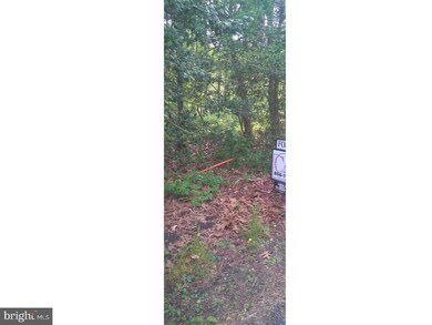 L:30 03 Mickels Mill Rd, Quinton, NJ 08302 - photo 2