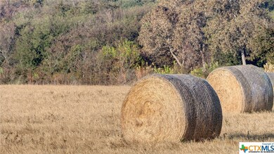 233 Lacey Oak Loop, San Marcos, TX 78666 - photo 6