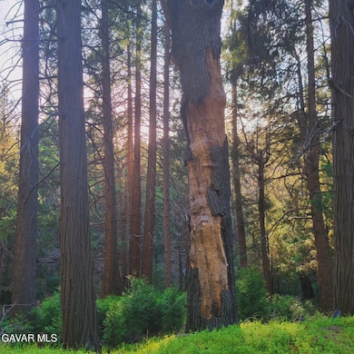 528 Mojave River Rd, Crestline, CA 92325 - photo 5