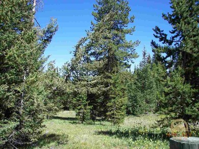 Big EZ Lot 16, Big Sky, MT 59716 - photo 5