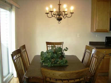 457 Metropolitan St unit 244, Aurora, IL 60502 - photo 6