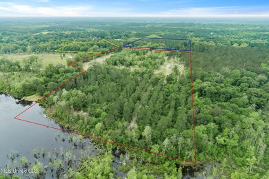 0 24 95 + - Ac Basin Central Rd, Lucedale, MS 39452 - photo 4