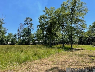 30054 N Range Rd, Livingston, LA 70754 - photo 6