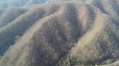 1067 Red Dog Rd, Grundy, VA 24614 - photo 2