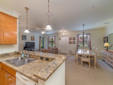 9078 Albion Ln S unit 6604, Naples, FL 34113 - photo 7