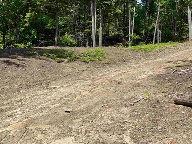 0 Jack Russell Rd unit 45-3 4913706, Ossipee, NH 03882 - photo 4