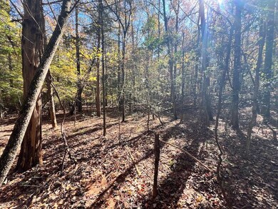 0 Pine Ridge Dr unit LotWP001, Elberton, GA 30635 - photo 6