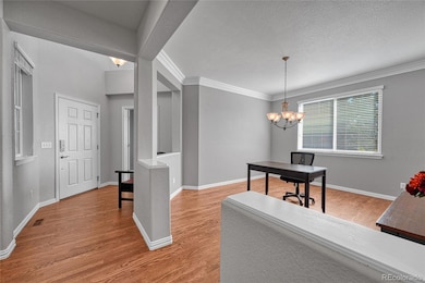 16204 E Swift Fox Place, Parker, CO 80134 - photo 6