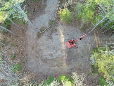 28 Beech River Cir, Center Ossipee, NH 03814 - photo 5