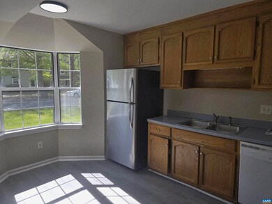 2329 Finch Ct, Charlottesville, VA 22911 - photo 6