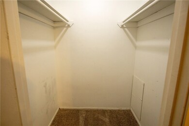 Walk in closet with carpet floors