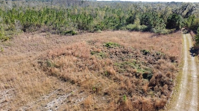 Lot 7 Mcmillan Rd, Hahira, GA - photo 7