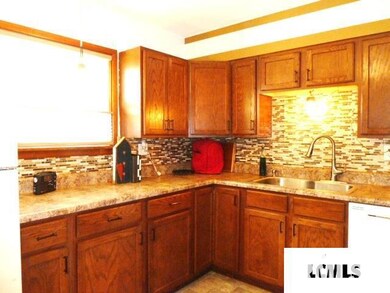 229 Welch Dr, Lincoln, IL 62656 - photo 4