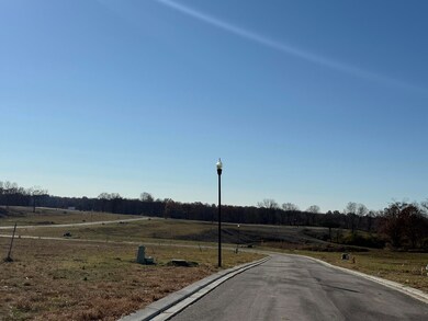 6681 Tullamore Ln unit Lot 3, Independence, KY 41051 - photo 2