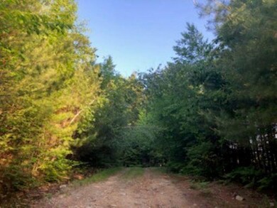 50 Turner Rd, Fitzwilliam, NH 03447 - photo 6