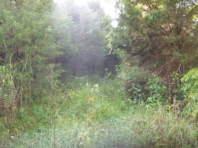 1407 Hoophole Rd, Lawrenceburg, KY 40342 - photo 5