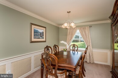 6033 Camelback Ln, Columbia, MD 21045 - photo 5